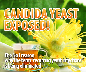 Candida Yeast Exposed